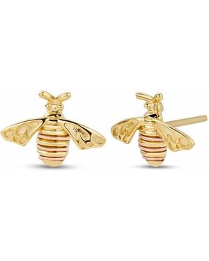 Clogau Nature's Wonder 9Ct Solid Honey Bee Stud Earrings - Metallic