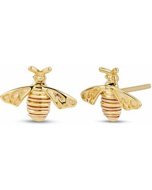 Clogau Nature's Wonder 9Ct Solid Honey Bee Stud Earrings - Metallic