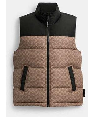 COACH Signature Down Vest - Black