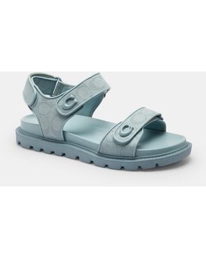 COACH Brynn Sandal - Blue