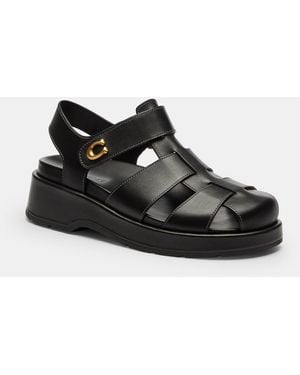 COACH Sculpted C Fisherman Sandal - Black