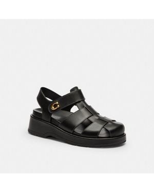 COACH Sculpted C Fisherman Sandal - Black