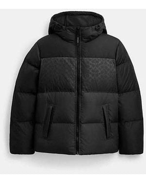 COACH Colorblock Down Jacket - Black