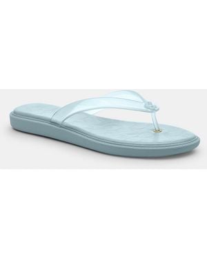 COACH Jelly Flip Flop - Blue