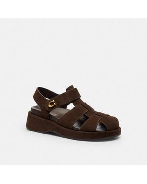 COACH Sculpted C Fisherman Sandal - Brown