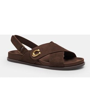 COACH Sculpted C Criss Cross Sandal - Brown
