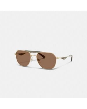 COACH C Hardware Metal Navigator Sunglasses - Brown