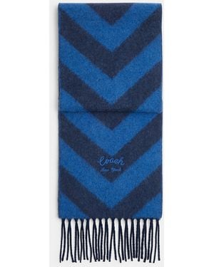 COACH Chevron Stripe Wide Muffler - Blue