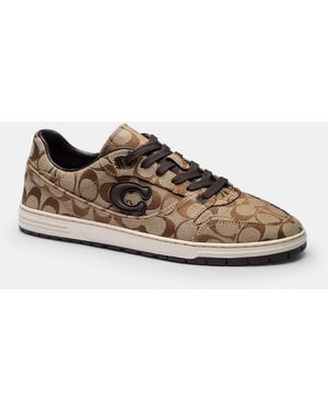 COACH Soft Soho Sneaker - Brown