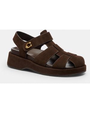 COACH Sculpted C Fisherman Sandal - Brown