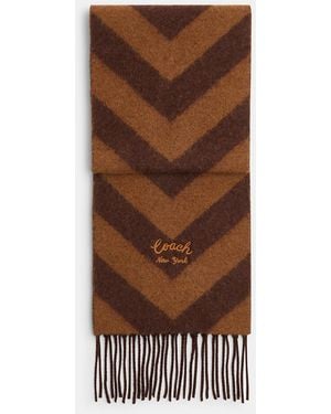 COACH Chevron Stripe Wide Muffler - Brown
