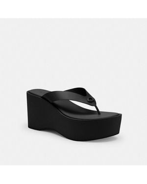 【COACH】コーチ ゼイン フリップ フロップ Coach Zayn Flip Flop - Slippers - BeyondStyle