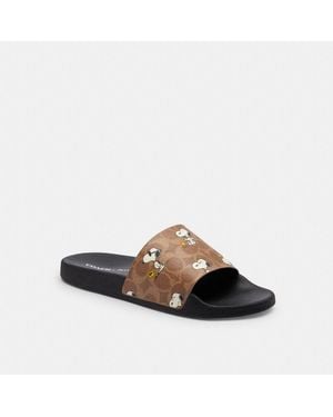 COACH X Peanuts Udele Sport Slide In Signature Canvas With Snoopy Print - Brown