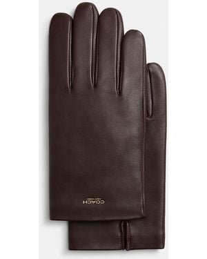 COACH Leather Tech Glove - Brown