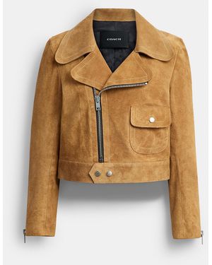 COACH Asymmetric Suede Jacket - Metallic
