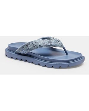 COACH Brynn Thong Sandal - Blue