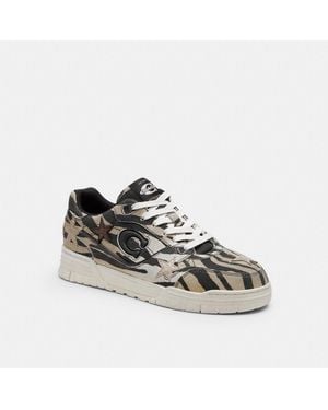COACH Soho Sneaker With Stars - Multicolor