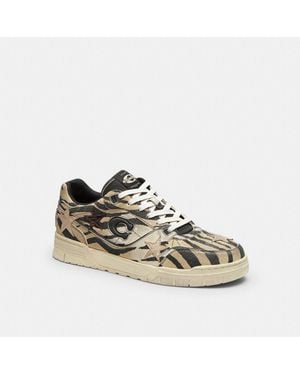 COACH Soho Sneaker With Stars - Multicolor