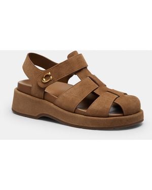 COACH Sculpted C Fisherman Sandal - Brown