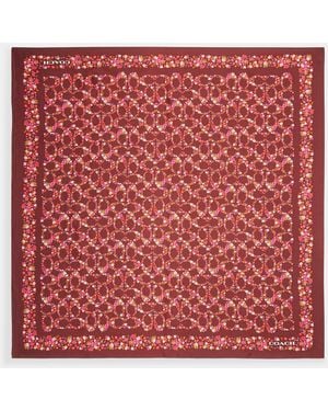 COACH Signature Posey Cluster Print Silk Square Scarf - Red