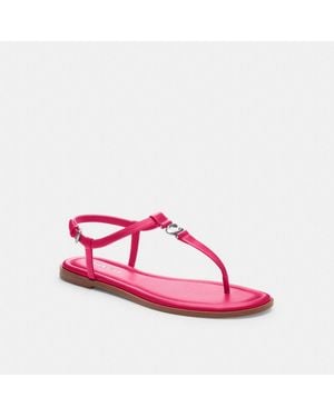 COACH Jessica Sandal - Pink