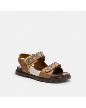 COACH Double Strap Sandal - Brown