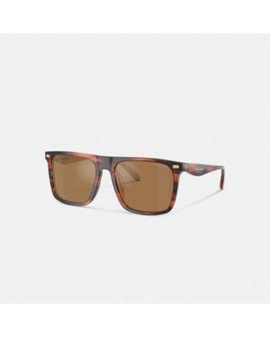 COACH Flat Top Square Sunglasses - Brown