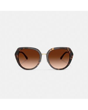 COACH Maxi Sculpted C Oversized Round Sunglasses in Brown | Lyst display picture 3