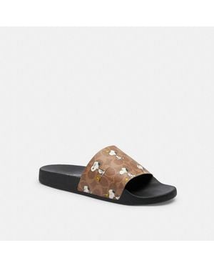 COACH シグネチャースライド Slide Flat Sandals サンダル COACH OUTLET｜【公式】ツー バンド スポーツ スライド