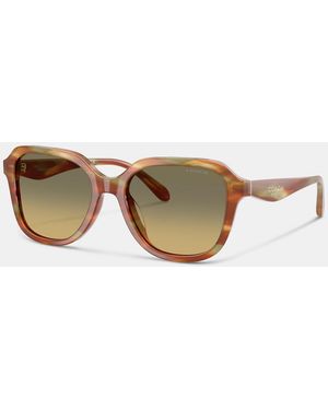 COACH Oval Square Sunglasses - Brown