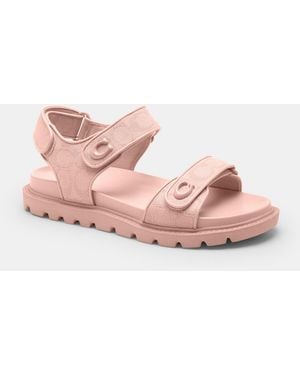 COACH Brynn Sandal - Pink