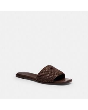 COACH Holly Sandal - Brown