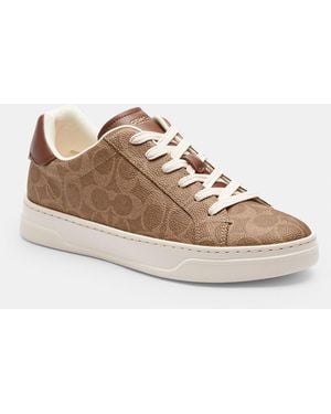 COACH Sneakers High Line - Brown