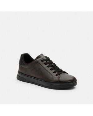 COACH High Line Sneaker - Black
