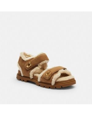 COACH Brynn Sandal - Brown