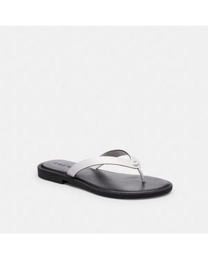 COACH Brianna Flip Flop - Multicolor