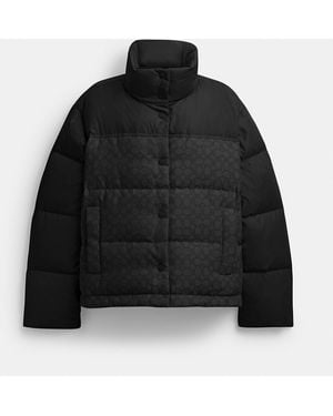 COACH Signature Down Jacket - Black