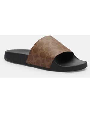 COACH Slide - Brown