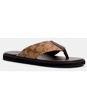 Coach Flip Flops for Men: Ultimate Guide to Comfort and Style