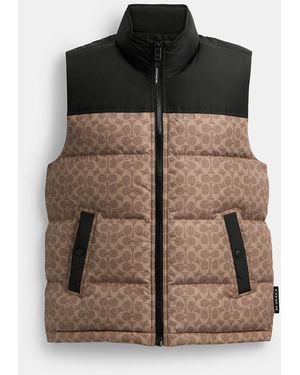 COACH Signature Down Vest - Brown