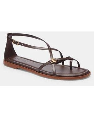 COACH Jenni Sandals (Maple) Sandals in Black | Lyst