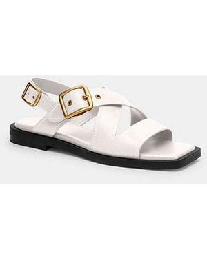 COACH Archival Buckle Flat Sandal - Black