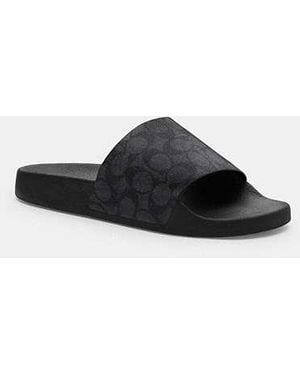 Coach flip flops mens outlet