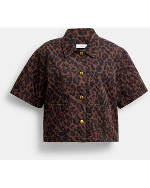 COACH Leopard Print Denim Short Sleeve Top - Brown