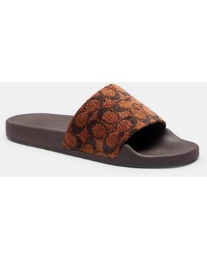 COACH Udele Sport Slide - Brown