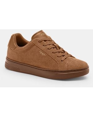 COACH High Line Sneaker - Brown