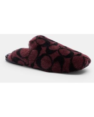 COACH Slipper - Brown