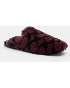 COACH Slipper - Brown