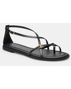 COACH Jenni Sandals (Maple) Sandals - Black