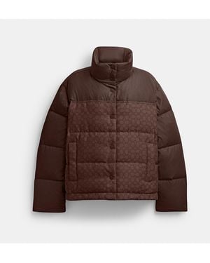 COACH Signature Down Jacket - Brown